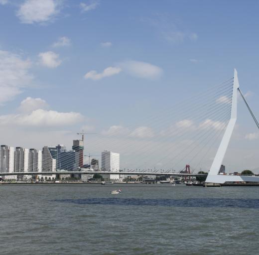 Erasmusbrug